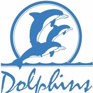 Dolphins Car Wash Omaha Ne Alignable