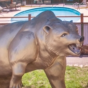 Big Bear Lake Marketing Association