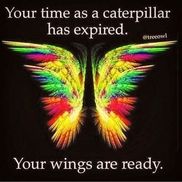 Oasis of Health - Cranial Facial Release & Thermography