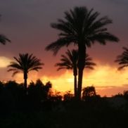 Arizona Fully Furnished Rentals