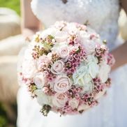 Pure Art Photography