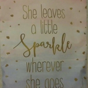 Sparkles Janitorial