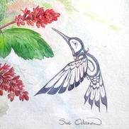 Sue Coleman Studio
