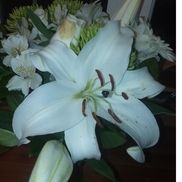 Joy of Creative Brighter Writing