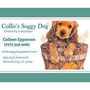 Collie's Soggy Dog