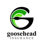 Goosehead Insurance
