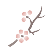 Stress and Emotional Wellness Counseling, LLC, Chatham NJ