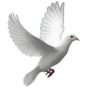 The Faith, Hope and Love Foundation