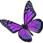Esmirna's Notary Accounting & Tax Services LLC