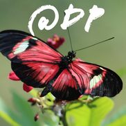 Advance Digital Photography