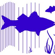 Passaic River Coalition
