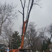 Breeden Tree Service inc.