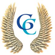 Goddess Construction llc