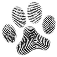 Meow Productions Inc.