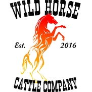 Wild Horse Cattle Company, LLC, Bagdad AZ