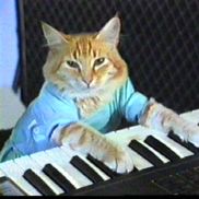 Charlie Schmidt Design