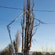 Columbia Tree Service