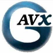 GAVX Inc.