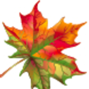 Turning Leaf Properties