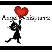Angel Whispurrz Cat Rescue