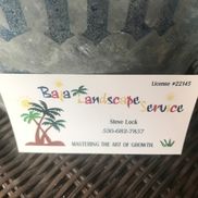 Steve Baja landscaping co