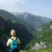 Wagner Accounting Limited