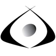 Falstad Initiatives,LLC