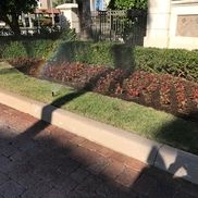 Mike's irrigation