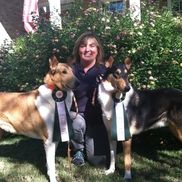 Stonebriar Dog Training LLC