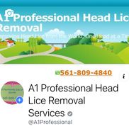 A1 Professional head Lice removal