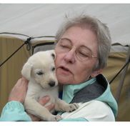 VIRGINIA BOHANAN, MOBIL NOTARY PUBLIC