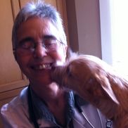 Vet-To-Pet House Calls for Dogs & Cats