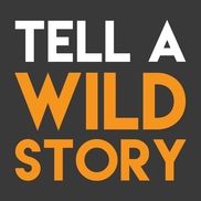 Safari Marketing and Web Design