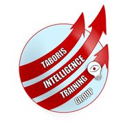 Taboris Intelligence Asset Group, LLC