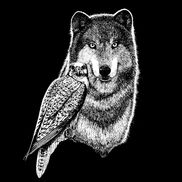 Wolfhawk: Alaska Gun Shipping