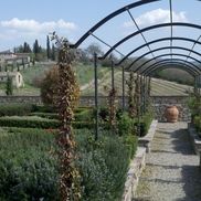 Bella Viaggi Tours