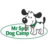 Mr Spot Dog Camp