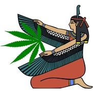 Cannabis Distribution, Delivery and NV Manufacture