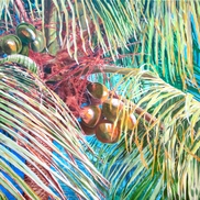 Avalon Fine Art