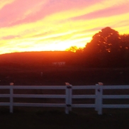 Kolman Farms