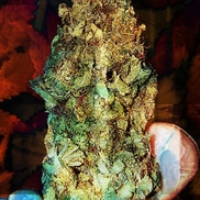 CBD nomad, Lake Grove NY
