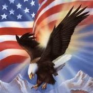 American Environmental Consultant