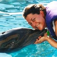 Christie's International/The Morshed Group