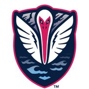 Tormenta FC Youth Academy Soccer Club