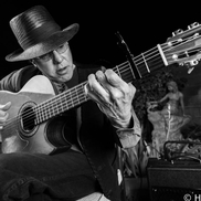 RJ Fox Guitar  Soloist