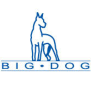 Big Dog Demolition SE, LLC