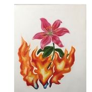 Compass Education Trust