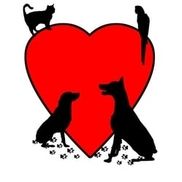 Tender Heart Pet Sitting