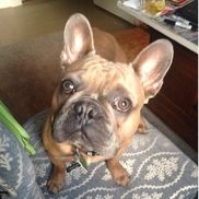 Puddlejumpers Children's Shop