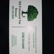 T&D Professional Tree Removal